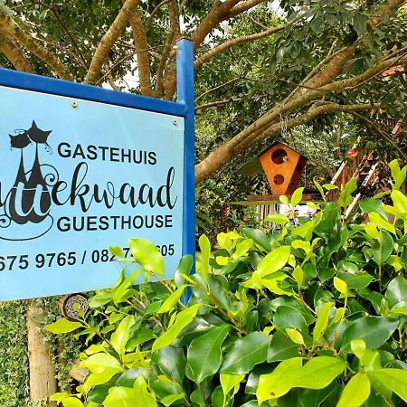 Kattekwaad Accommodation Kaapsehoop Экстерьер фото