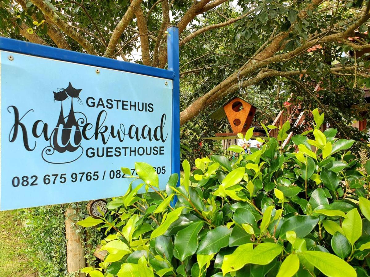 Kattekwaad Accommodation Kaapsehoop Экстерьер фото