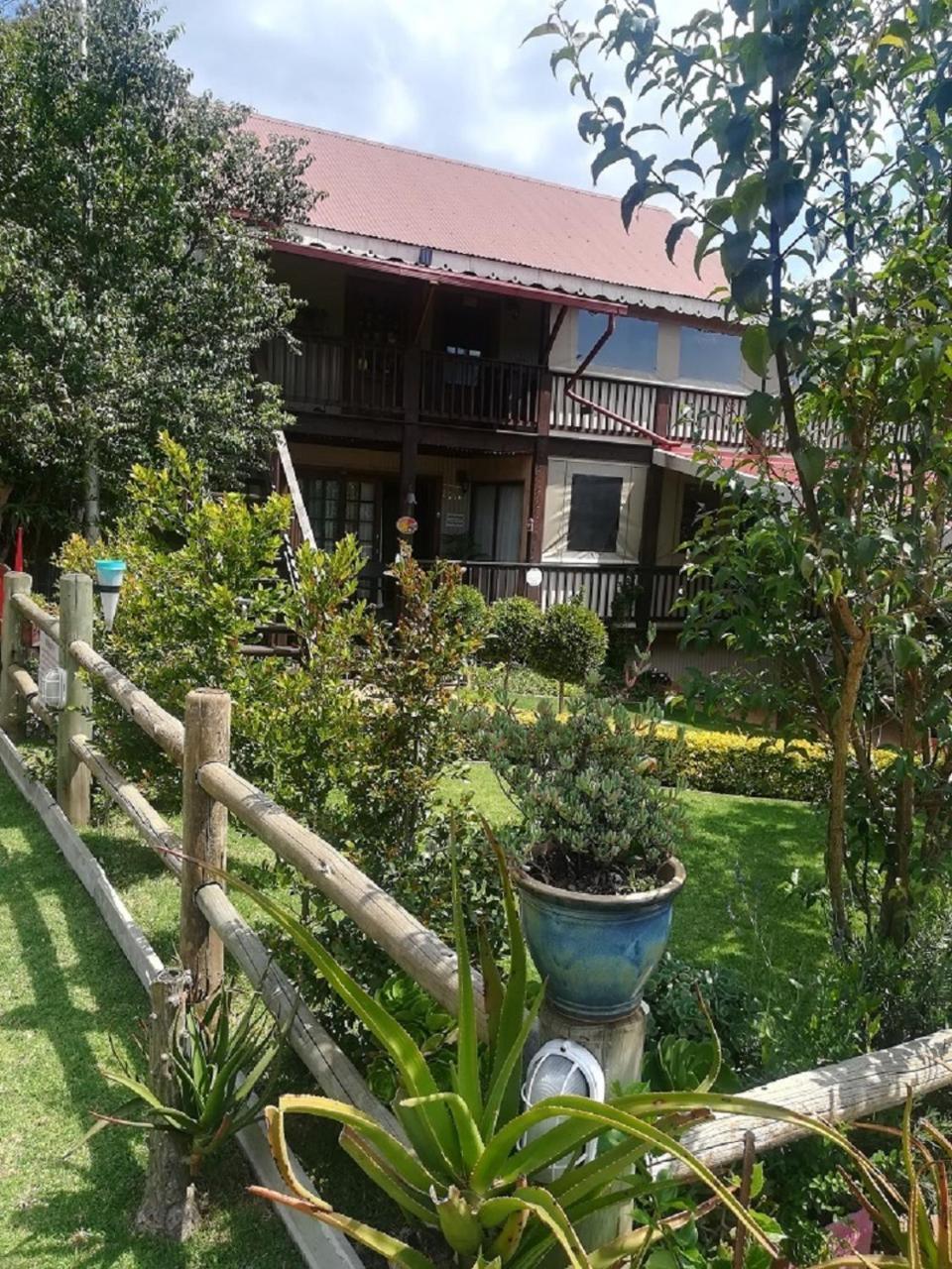 Kattekwaad Accommodation Kaapsehoop Экстерьер фото